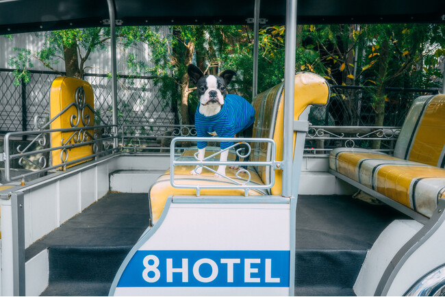 プレスリリース「【開催レポート】8HOTEL CHIGASAKI、初のドッグモデルオーディションを開催」のイメージ画像