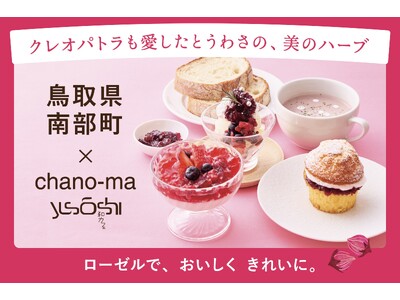 【クレオパトラも愛したとうわさの美のハーブが地域課題解決の主役！】鳥取県南部町産「ローゼル」オリジナルメニュー 期間限定展開