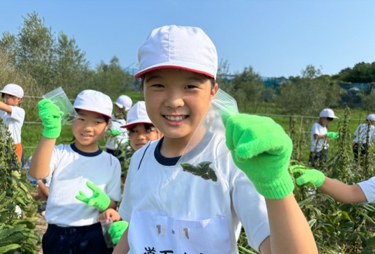 「ごまのみらい小豆島プロジェクト」土庄町の小学生に向け ごまの収穫からごま油になるまでを学ぶフィールドワークを実施