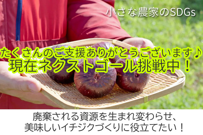 【小さな農家のSDGs】元プログラマー新規就農、廃棄資源でイチジクをブランド化　CFで20万円調達し、ネクストゴールに挑戦中