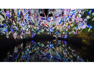 チームラボ、北海道・札幌 宮の森にオープンする美術館「J Art Foundation」にて、《教会跡に...