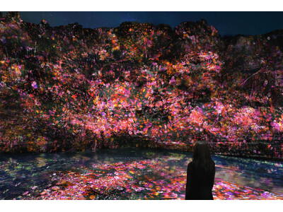 チームラボ、千葉・養老渓谷で夜の野外アート展「チームラボ 養老渓谷」を開催。長い年月をかけて自然が作り上...