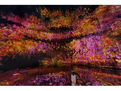 チームラボ、千葉・養老渓谷の夜の野外アート展『チームラボ 養老渓谷』4月17日(金)オープン。長い年月をかけて自然が作り上げた渓谷が、人々の存在で変化するアート空間に。作品群の全貌を公開。