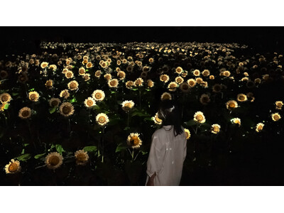 約2万株の「白いヒマワリ」が夜の植物園で一面に光り輝く作品を初公開。『チームラボ ボタニカルガーデン 大阪』にて、8月1日(土)から