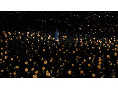 約2万株の白いヒマワリが、夜の植物園で一面に光り輝く。『チームラボ ボタニカルガーデン 大阪』、作品《生命は、闇の中でまたたく小さな太陽》を初公開。8月1日(土)から8月16日(日)まで