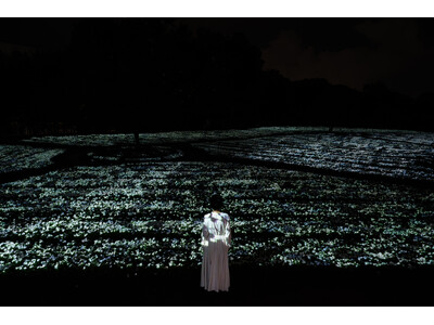 見頃を迎えた白いニチニチソウが、夜の植物園で一面に光り輝く。『チームラボ ボタニカルガーデン 大阪』、作品《生命は、闇にまたたく海》を初公開。9月3日(木)から9月27日(日)まで