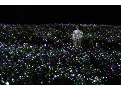 秋の夜、約2万株のコスモスが一面に光り輝く。『チームラボ ボタニカルガーデン 大阪』、作品《生命は、闇にまたたく光 – コスモス》を公開。11月7日(土)から11月28日(土)まで