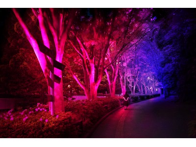チームラボ、徳島県文化の森総合公園内にて「呼応する木々」を常設展示。公園内を、インタラクティブな光のデジタルアート空間に変える。2018/4/29(日)から常設。