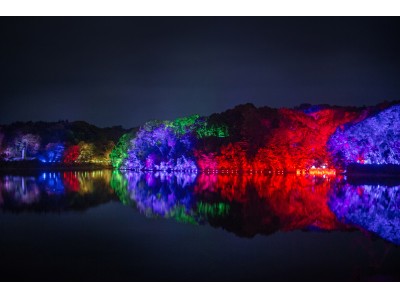 12/1（土）から「チームラボ 森と湖の光の祭」を開催。埼玉県飯能市にオープンする「メッツァビレッジ」の宮沢湖と湖畔の森をインタラクティブな光のアート空間に。10/22（月）から前売券販売開始。