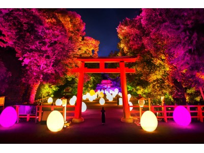 チームラボ、京都の世界遺産 下鴨神社にて今年もアート展。規模を拡大した「下鴨神社 糺の森の光の祭 Art by teamLab - TOKIO インカラミ」令和元年8月17日から9月2日まで