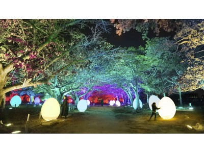 「チームラボ 福岡城跡 光の祭 2019-2020」11月29日から。今年も夜の福岡城跡がインタラクティブな光のアート空間に。前売チケット販売中