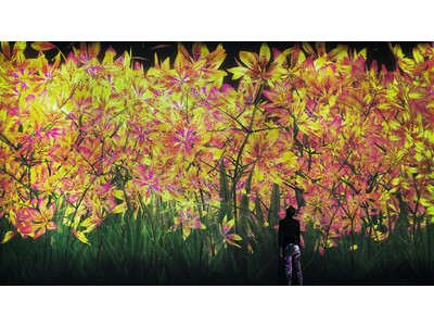 東京・お台場「チームラボボーダレス」が【秋】の景色に。季節とともに移ろう作品群に、秋の花々や黄金色の稲穂が登場。ランプの作品は、秋の色で輝く「山の紅葉」に