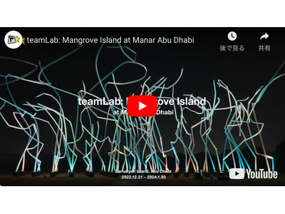 「teamLab: Mangrove Island at Manar Abu Dhabi」アブダビ・サマリヤ島のマングローブを、光によって変化し続けるアート空間に。会期は2024年1月30日（火）まで