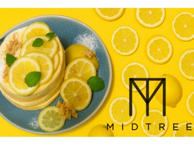 【 めざましテレビ 「 イマドキ 」で紹介 】『 MID TREE 』人気のパンケーキ ＆ バスクチーズケーキに、初夏の訪れを告げる “ レモンの香り ” を添えて。爽やかな味わいが5月限定で登場。