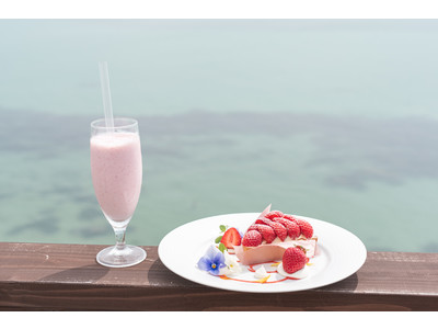 全席オーシャンビュー！福岡・糸島の海辺のカフェ『HACHIDORI』が店内をリニューアル。期間限定で「あまおう」苺を使ったタルト・スムージーを販売開始