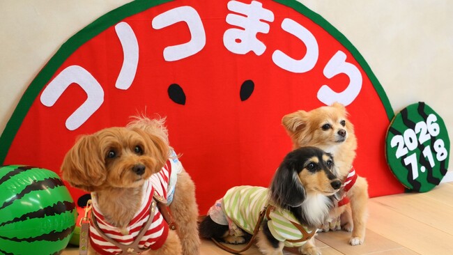 全国から18組のわんちゃんと飼い主様が福岡本社へ!ペットフードブランド《コノコトトモニ》が体験型イベント「第2回コノコ祭り」を開催!
