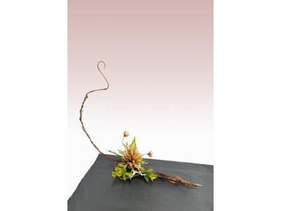 好古園「雑草いけばな展」を開催します