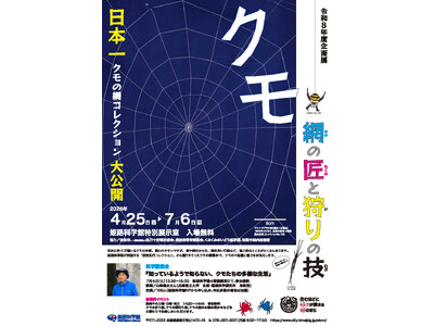 姫路科学館企画展「クモ -網の匠と狩りの技-」
