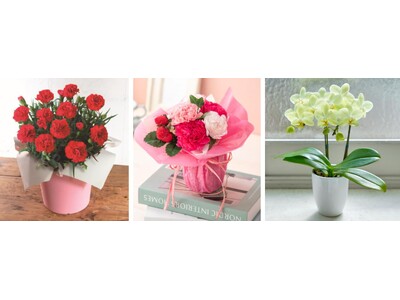 ～花で伝える感謝の気持ち～花束やアレンジメントなど、「母の日フラワーギフト」がニトリネットで販売中！