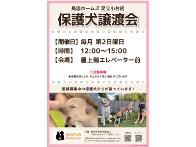 【島忠】ホームズ足立小台店　12月8日（日）より保護犬譲渡会を定期開催します