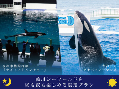 【鴨川シーワールド】2024年3月25日（月）～27日（水）の3日間限定！春休みの平日に日帰りで楽もう！...