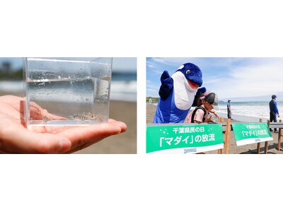 【鴨川シーワールド】鴨川シーワールド 千葉県の魚「タイ」にちなみマダイの放流体験を実施