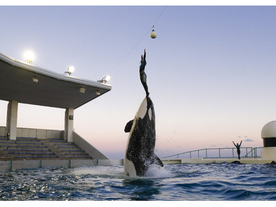 【鴨川シーワールド】水族館女子集合！同じ趣味で楽しむシャチのナイトパフォーマンスやセミコースディナーが大...