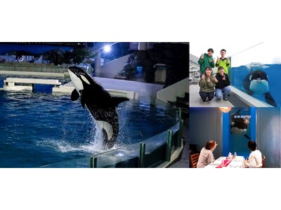 【鴨川シーワールド】シャチやベルーガとの時間を楽しむ特別なクリスマスを鴨川シーワールドで！11月18日（...