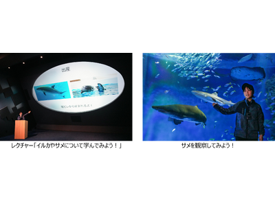 【神戸須磨シーワールド】イルカやサメについて学んでみよう!飼育員と楽しく学ぶ教育プログラム「生きものスマ...