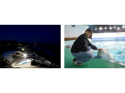 【鴨川シーワールド】「水族館探検プラン」&「ナイトアドベンチャー」を開催
