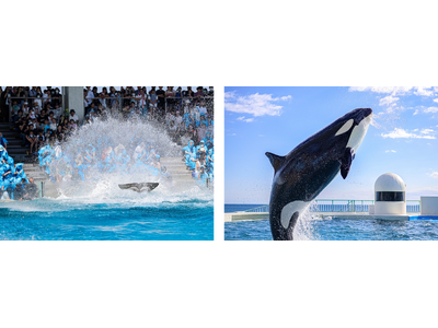 【鴨川シーワールド】55周年営業中の館内に今年もずぶ濡れシーズンが到来！2025年7月1日（火）より シ...