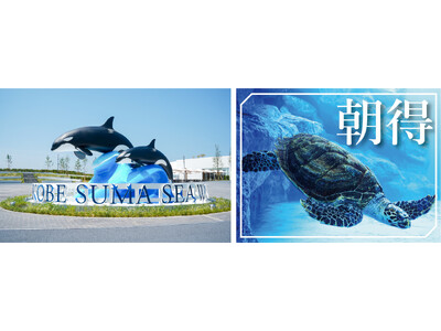 【神戸須磨シーワールド】1周年を迎えた夏のスマシーをお得に楽しもう！「トワイライトチケット」・「朝得チケット」を販売