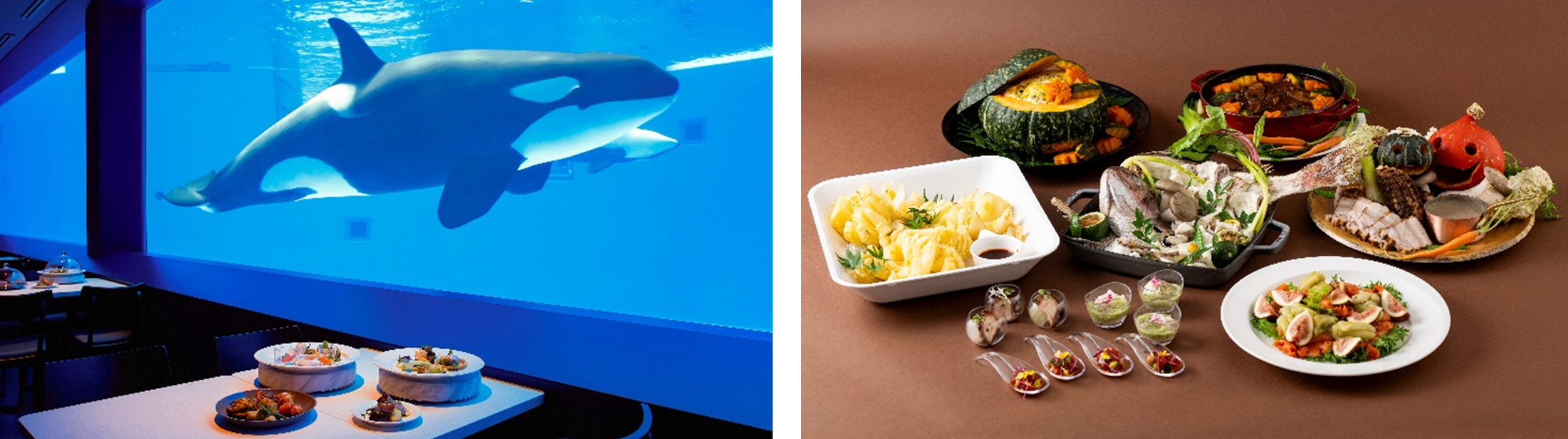 【神戸須磨シーワールド】シャチの見えるレストランなど水族館で秋の味覚を堪能　9月1日（月）より新メニューが登場