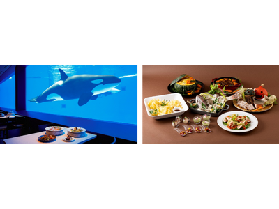 【神戸須磨シーワールド】シャチの見えるレストランなど水族館で秋の味覚を堪能　9月1日（月）より新メニューが登場