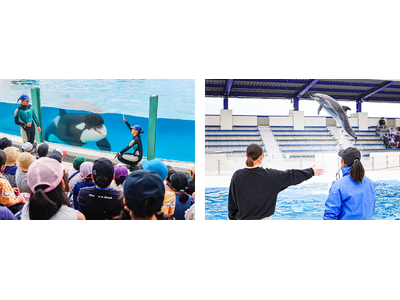 【鴨川シーワールド】親子で育む生き物への興味「海の学び教室」開催