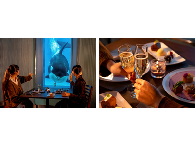 【鴨川シーワールド】『クリスマスディナー付き宿泊プラン』