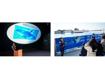 【神戸須磨シーワールド】シャチやペンギンについて学んでみよう！飼育員と楽しく学ぶ教育プログラム「生きもの...