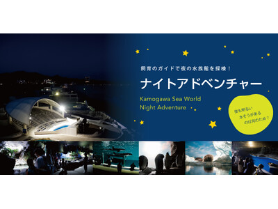 【鴨川シーワールド】夜も明るい水そうがあるのは何のため？お答えします！飼育のガイドで夜の水族館を探検「春のナイトアドベンチャー」開催