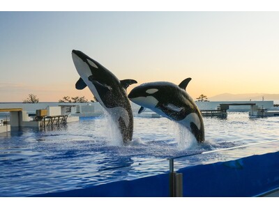 【神戸須磨シーワールド】ゴールデンウィークは早朝・夕方の入館でお得に楽しもう！「GW 朝得チケット」と「GW トワイライトチケット」を販売