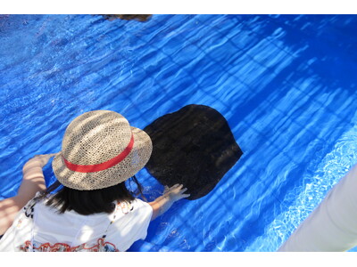 【鴨川シーワールド】夏限定イベント！子どもと一緒にふれて感触を確かめよう！つるつる？ざらざら？「エイとサメのタッチングプール」開設