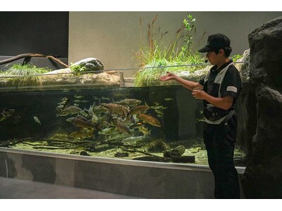 【神戸須磨シーワールド】飼育員と朝の生きものを観察しよう！「アクアライブ モーニングウォッチング」　2026年8月1日（土）より開始