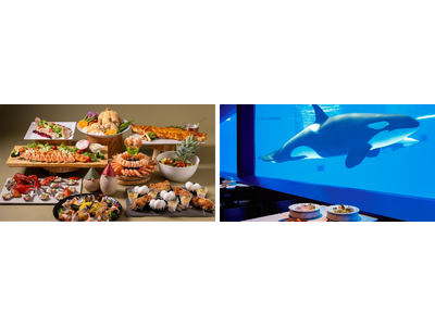 【神戸須磨シーワールド】水族館で過ごす特別な夜「スマシークリスマス2026」開催