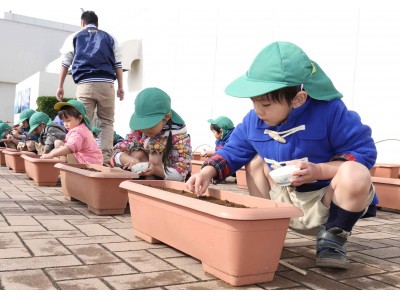 【鴨川シーワールド】来春の鴨シーを飾る花々を地元こども園と協力して準備！園児たちの自然体験「菜の花の種まき」2017年11月9日（木）  10：00より