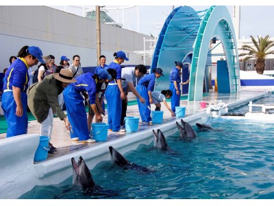 【鴨川シーワールド】イルカへの給餌体験やウミガメの特別レクチャーを通して動物への理解を深めよう！「飼育の日」・「科学技術週間」特別イベントのご案内