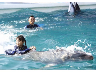 【鴨川シーワールド】イルカと泳げる職業体験プログラム！小学校5・6年生限定「ジュニアトレーナー」開催4月25日より予約開始！