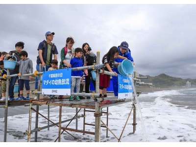 鴨川シーワールド 30年目の恒例行事 千葉県民の日に子供たち100名が マダイ の幼魚の放流体験 企業リリース 日刊工業新聞 電子版