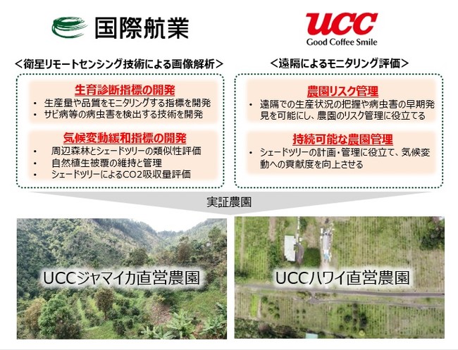 UCC上島珈琲と国際航業、衛星画像による持続可能なコーヒー農園の実現で協業