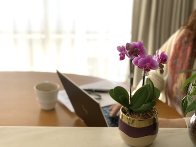 会社と在宅ワークの従業員をつなぐ【福利厚生】デスクに飾れるマイクロ胡蝶蘭　従業員の心と身体のケアに