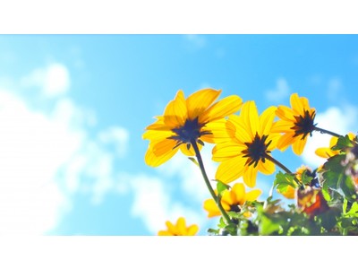 【世界環境デー】環境保全にこだわったご提案を。「JOCA推奨品マーク」取得商品をオーガニックセレクトショップ『栞～siori～』にて取り扱い開始。