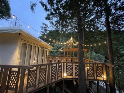 【2025年8月OPEN】福岡・宮若の星降る森に、体験型グランピング「FOREST-Glamp」誕生!